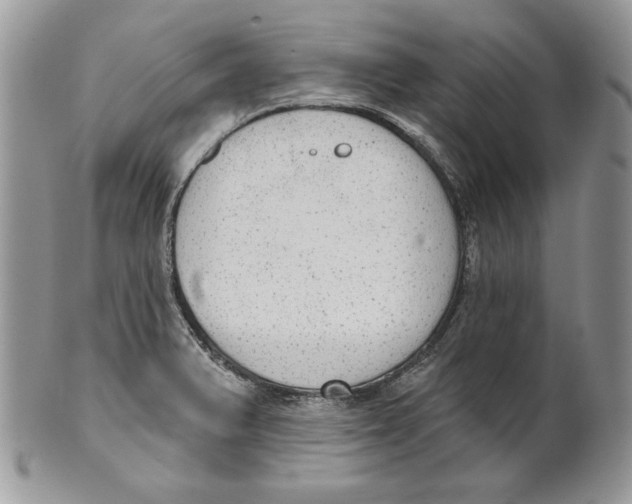 X0000101151375200807251038