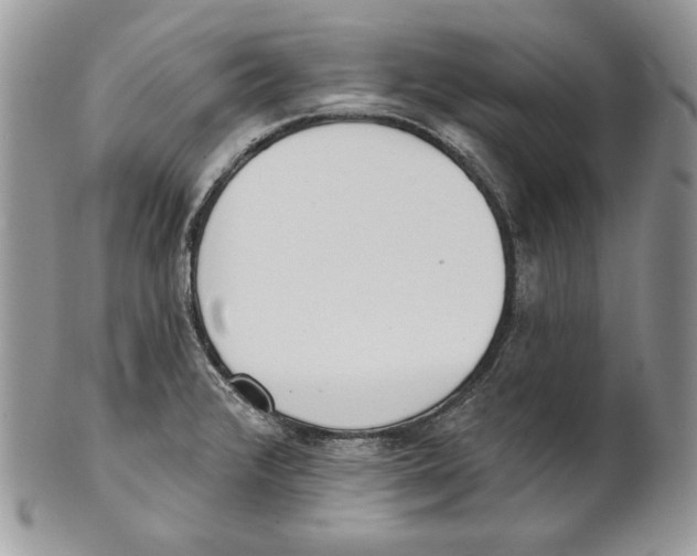 X0000101151376200807251038