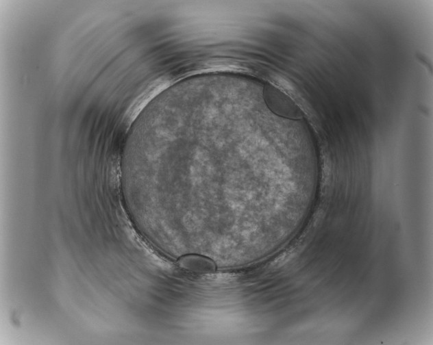 X0000101151377200807251038