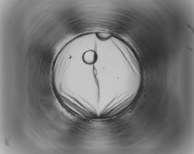 X0000101151379200807251038