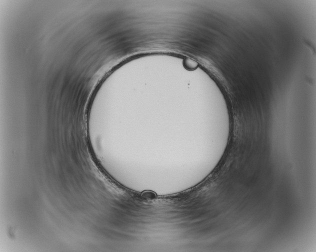 X0000101151380200807251038