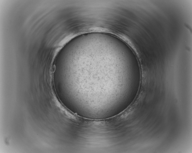 X0000101151381200807251038