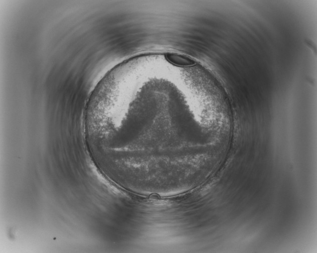 X0000101151382200807251038