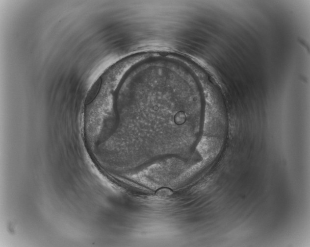 X0000101151383200807251038