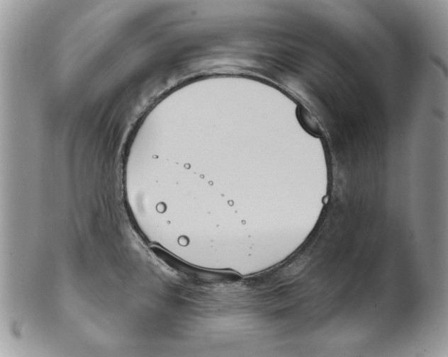 X0000101151384200807251038