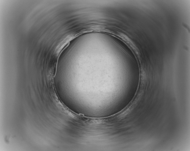 X0000101151385200807251038