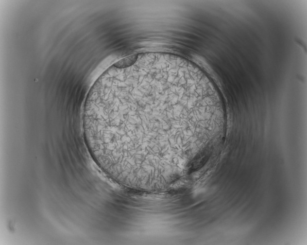 X0000101151386200807251038