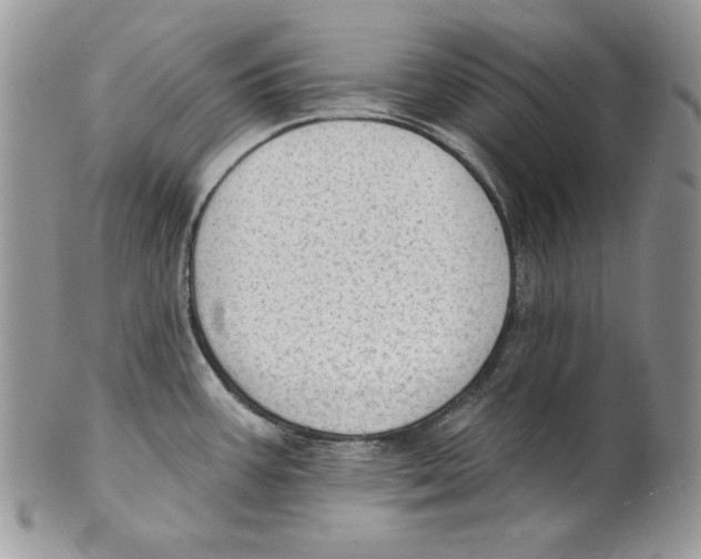 X0000101151387200807251038