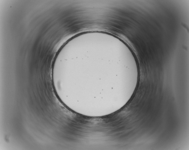 X0000101151388200807251038