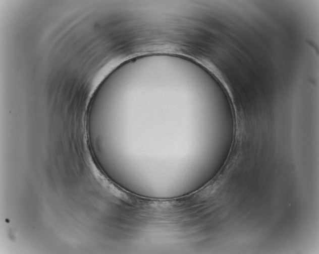 X0000101151389200807251038