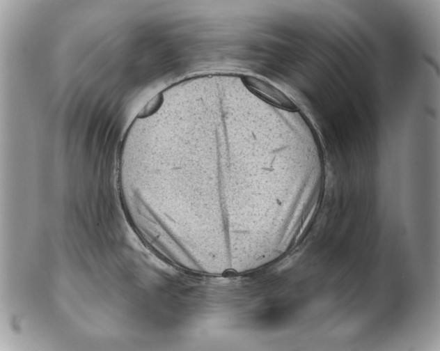 X0000101151390200807251038