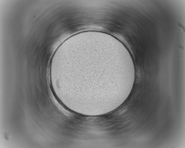 X0000101151391200807251038