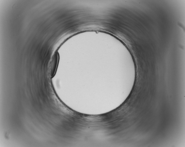 X0000101151392200807251038