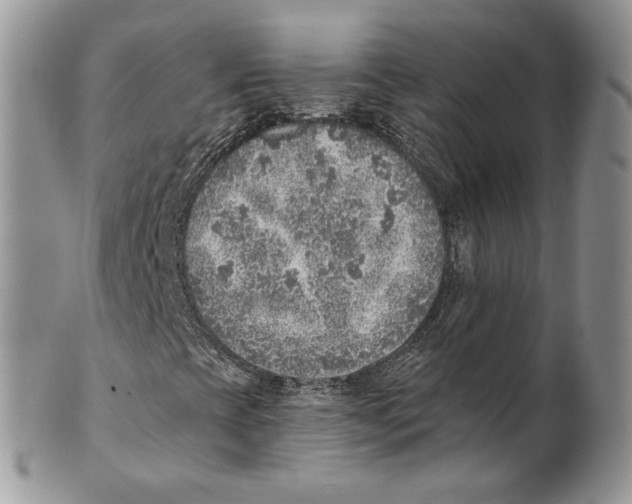 X0000101151393200807251038