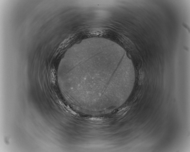 X0000101151394200807251038