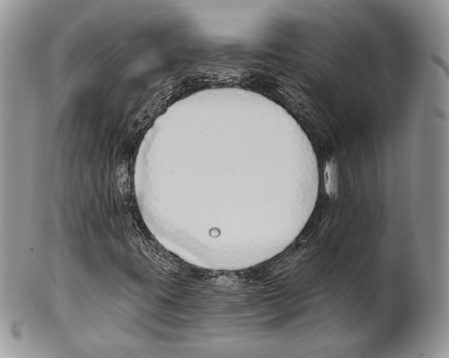 X0000101151395200807251038