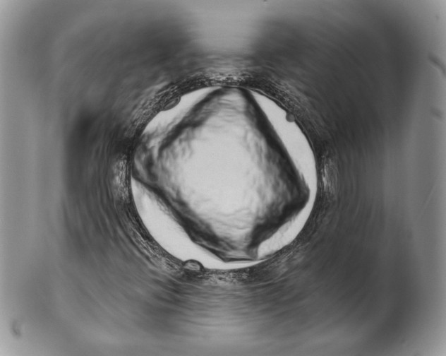 X0000101151396200807251038