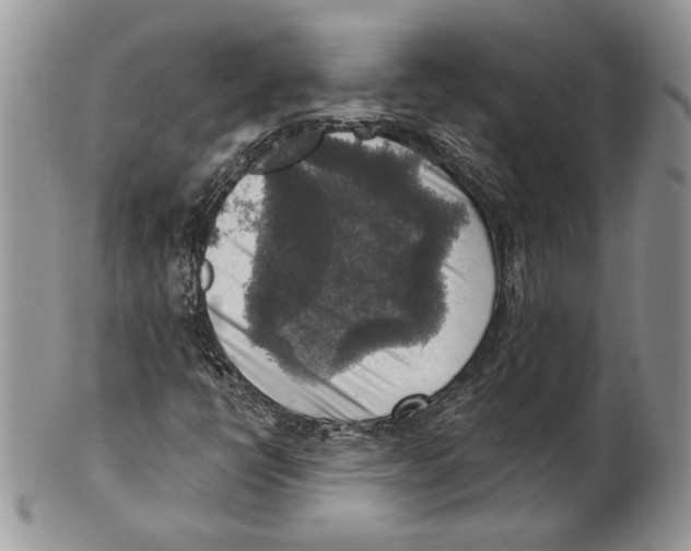 X0000101151398200807251038