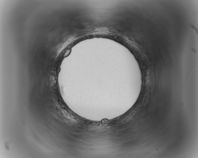 X0000101151400200807251038