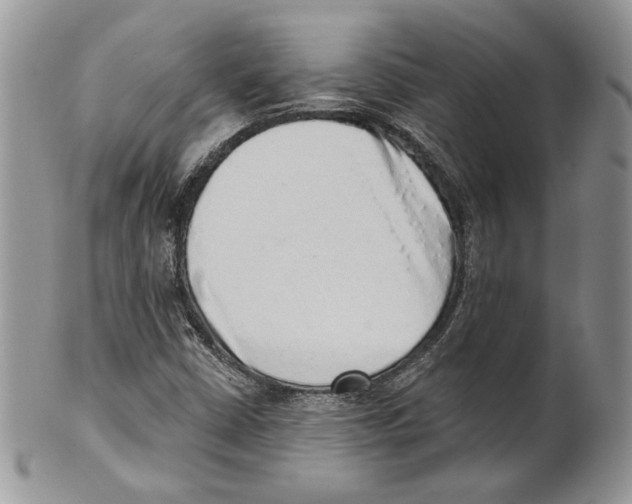 X0000101151402200807251038