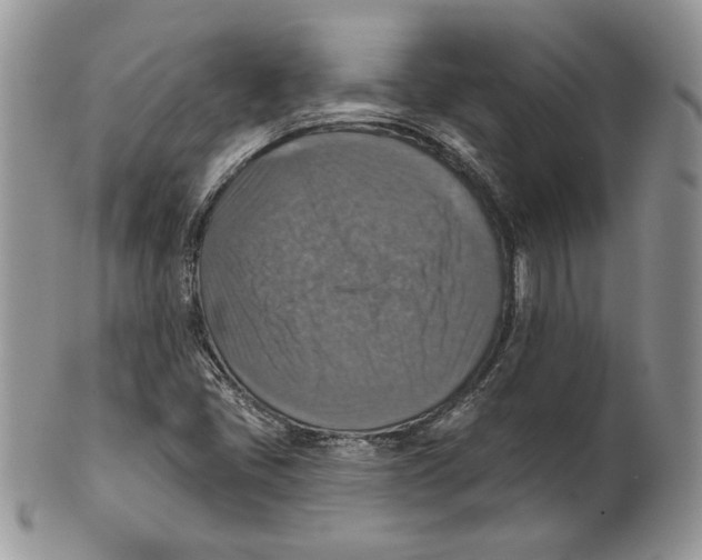 X0000101151405200807251038