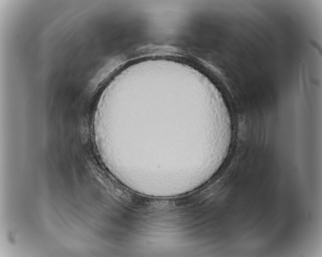 X0000101151407200807251038