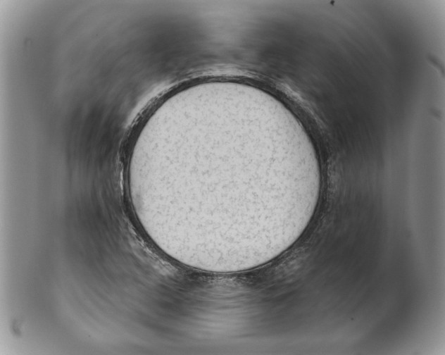 X0000101151408200807251038