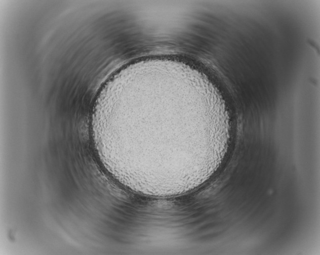 X0000101151409200807251038