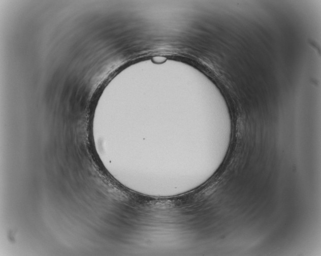 X0000101151410200807251038