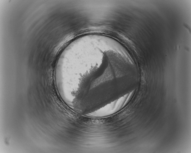 X0000101151411200807251038