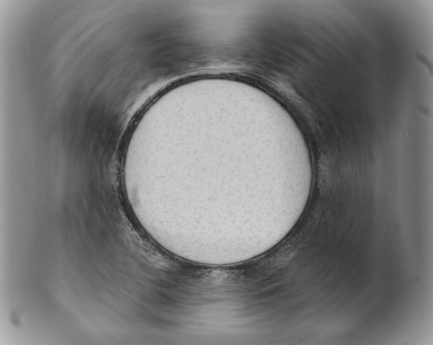 X0000101151412200807251038
