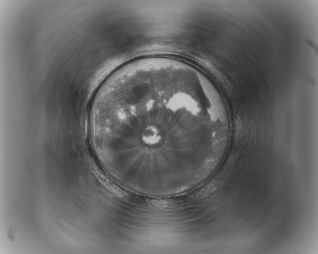 X0000101151413200807251038