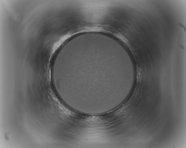 X0000101151414200807251038