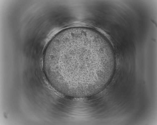 X0000101151415200807251038