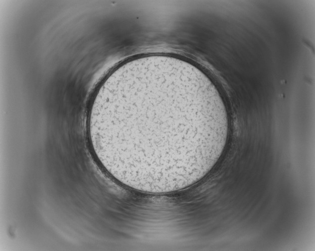 X0000101151416200807251038