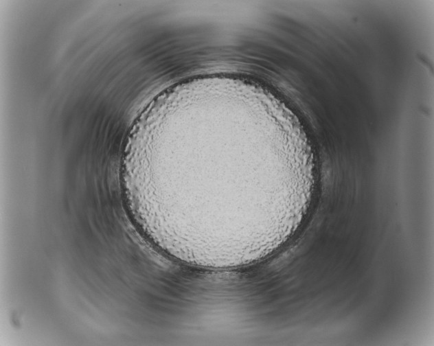 X0000101151417200807251038