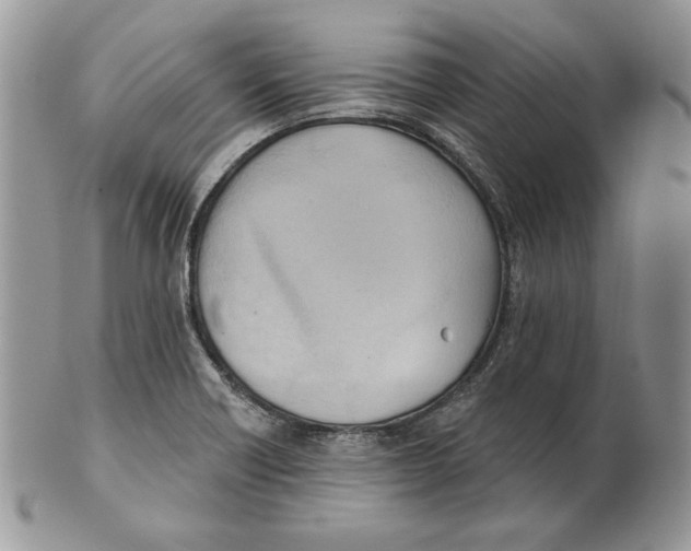 X0000101151418200807251038