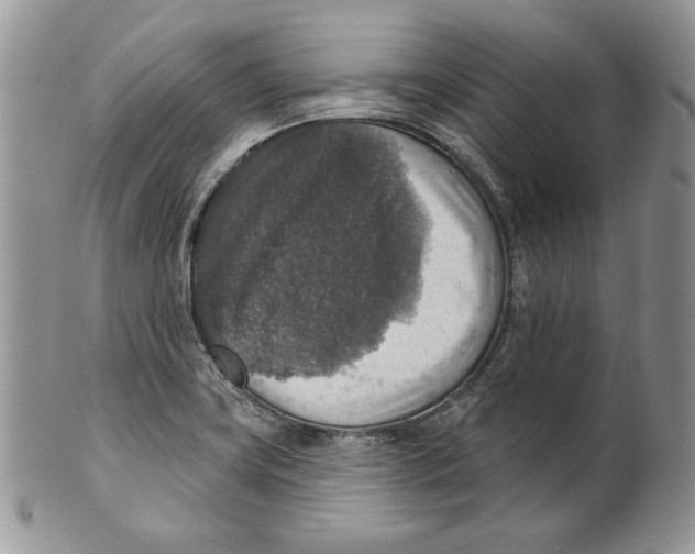 X0000101151419200807251038