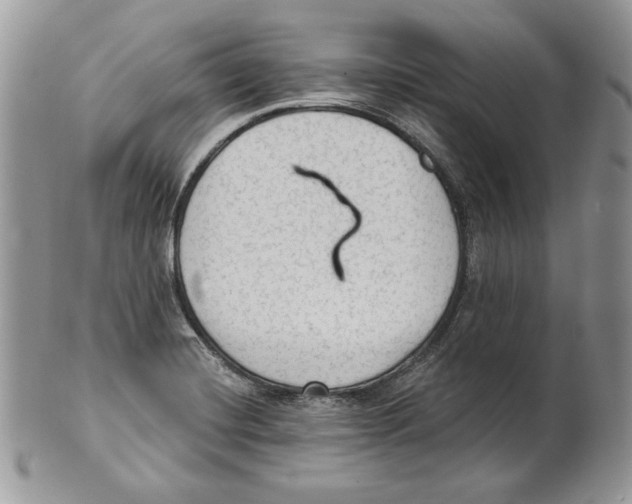 X0000101151420200807251038