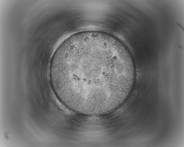 X0000101151421200807251038