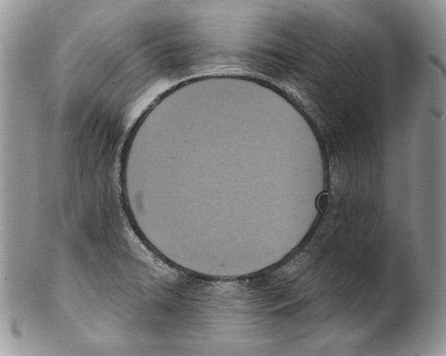 X0000101151422200807251038
