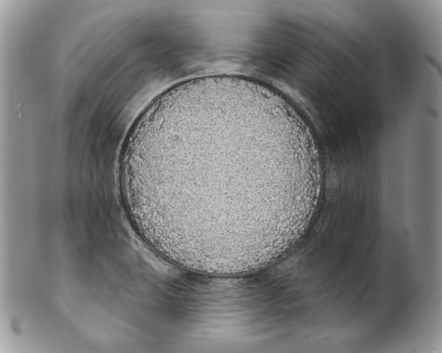 X0000101151423200807251038