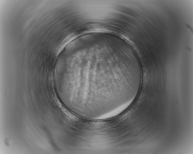 X0000101151425200807251038