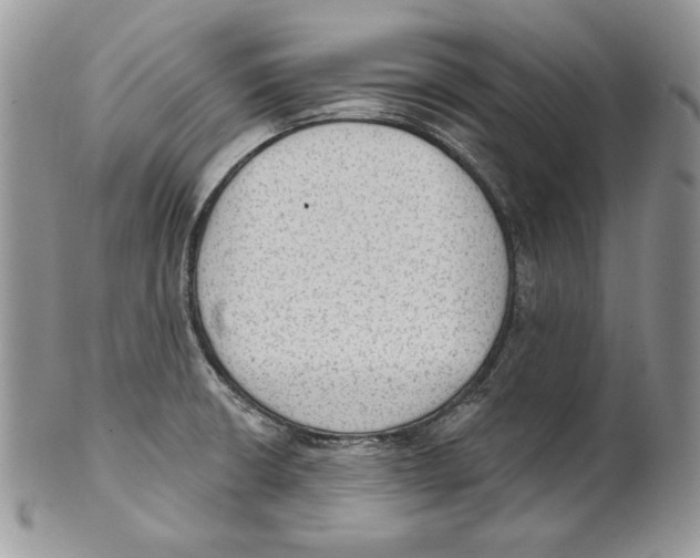 X0000101151426200807251038