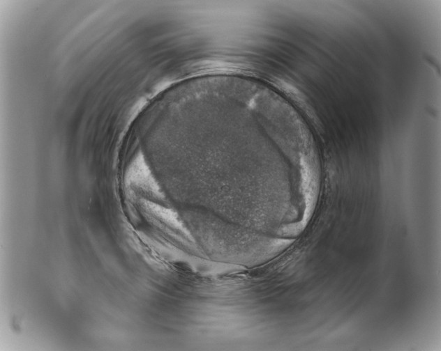 X0000101151427200807251038