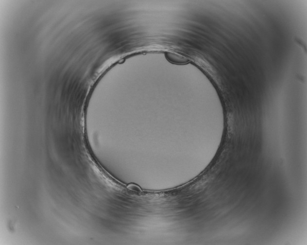 X0000101151428200807251038