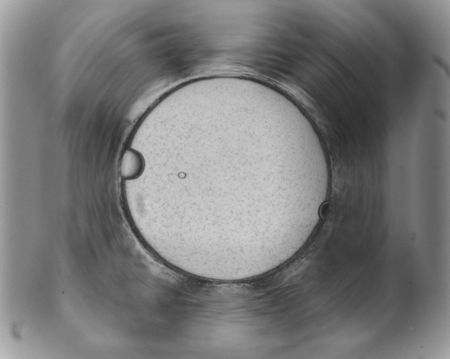 X0000101151430200807251038