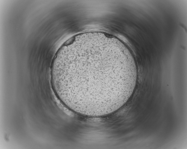 X0000101151431200807251038