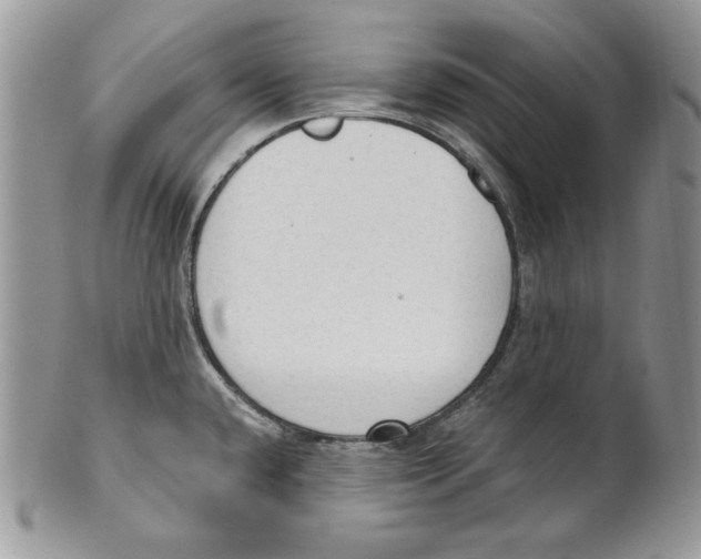 X0000101151432200807251038