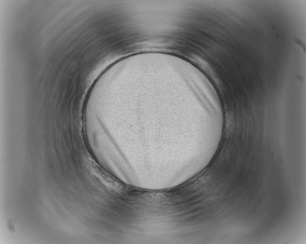 X0000101151435200807251038